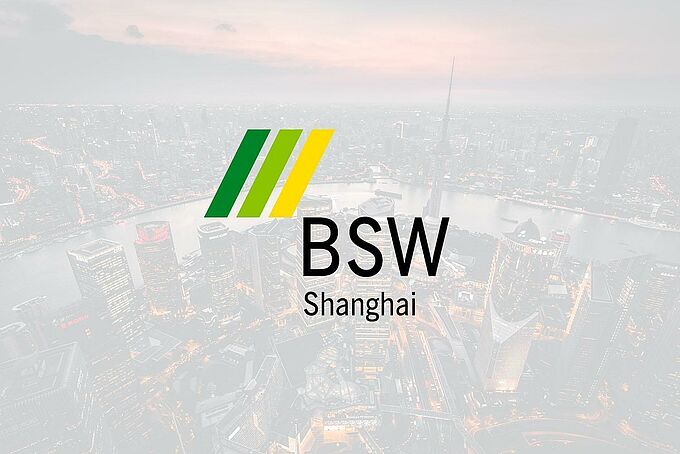 BSW上海公司有限公司“loading=
